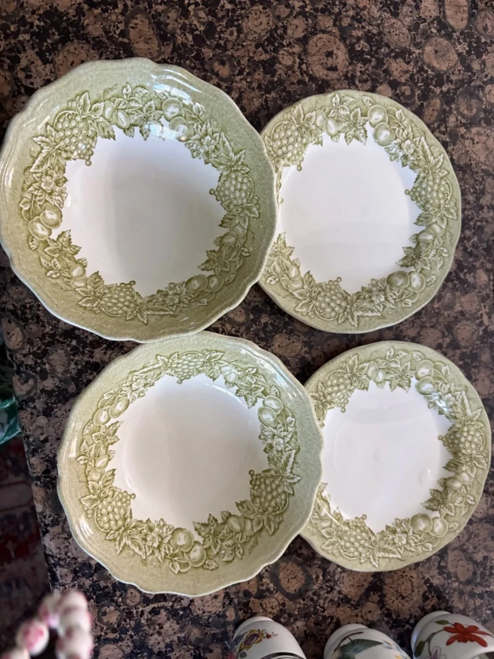 Green Fruit Wreath Ceramic Dinner Bowls and plates - Set of 2